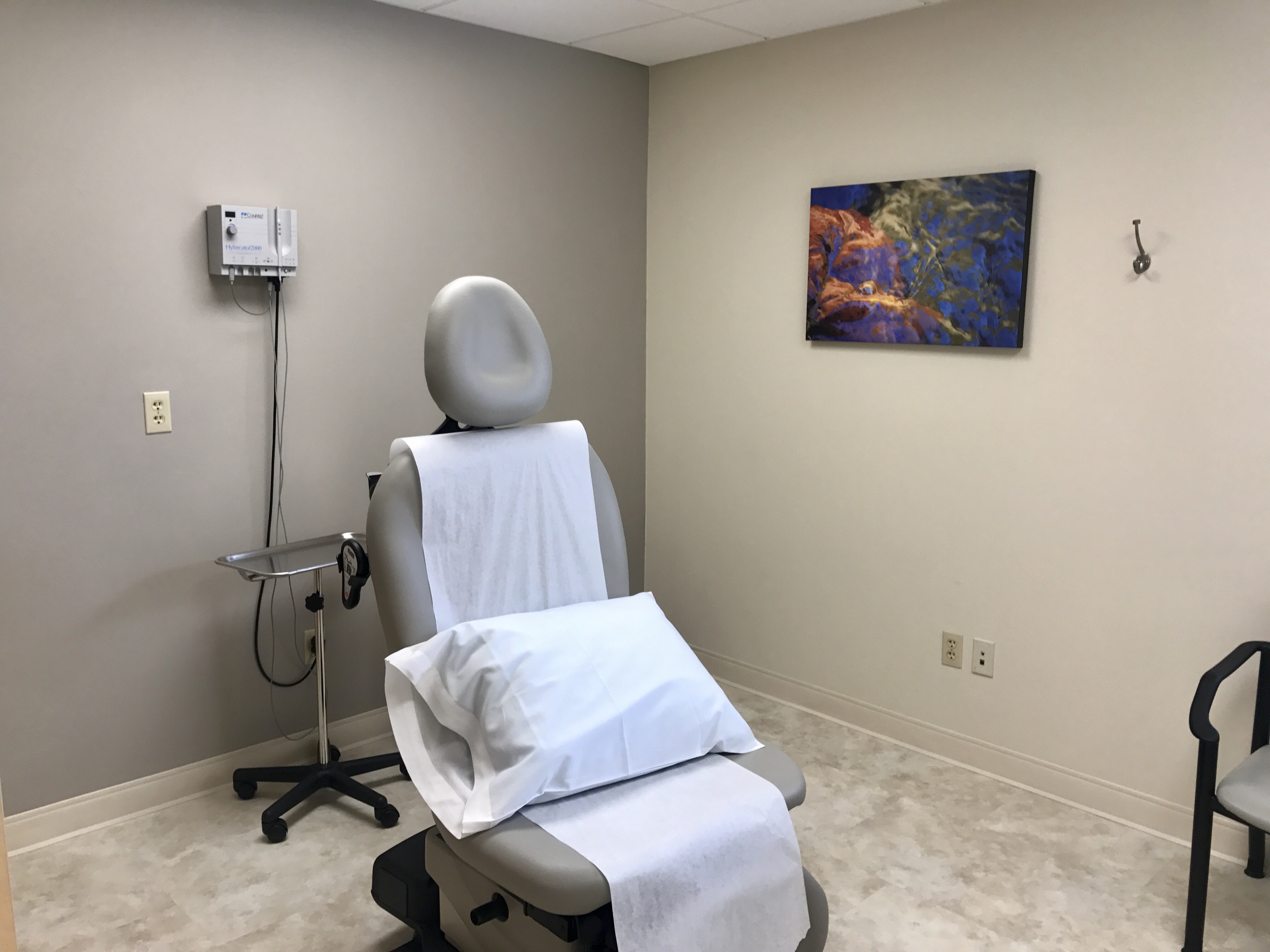 Dermatology Office Design Ithaca I Helena Cooper Art